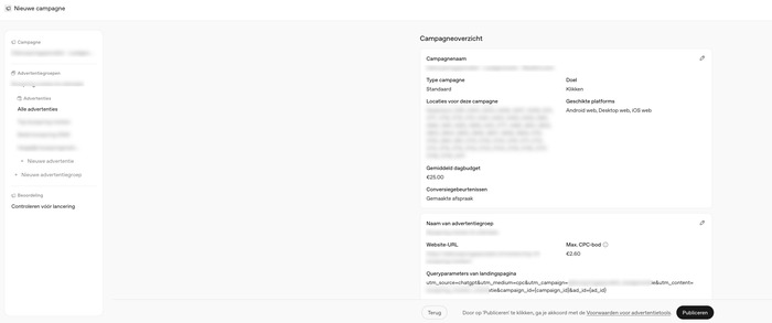 Campagneoverzicht met platforms, budget, conversiegebeurtenis en CPC-bod vóór publicatie