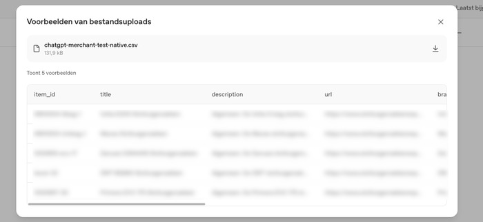 Productfeed in native OpenAI-format correct herkend door Ads Manager